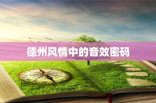 德州风情中的音效密码