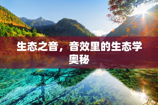生态之音，音效里的生态学奥秘