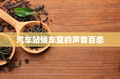 汽车站候车室的声音百态
