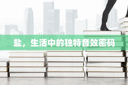 盐，生活中的独特音效密码
