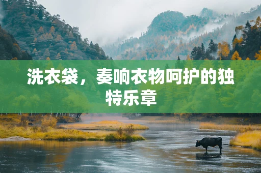 洗衣袋，奏响衣物呵护的独特乐章