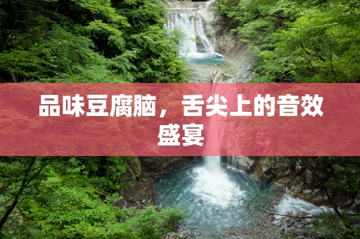 品味豆腐脑，舌尖上的音效盛宴