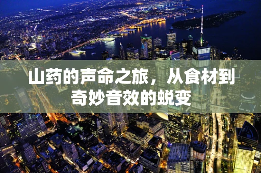山药的声命之旅，从食材到奇妙音效的蜕变