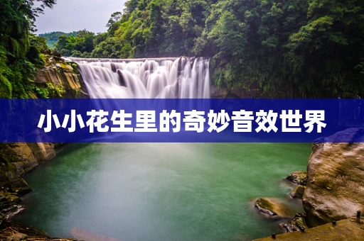 小小花生里的奇妙音效世界