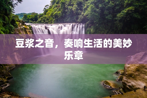豆浆之音，奏响生活的美妙乐章