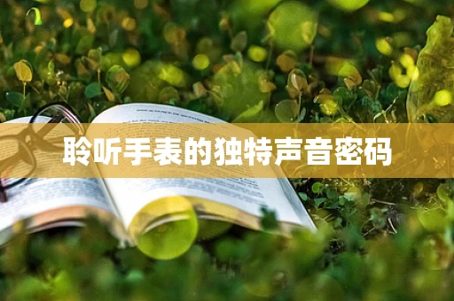 聆听手表的独特声音密码