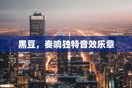 黑豆，奏响独特音效乐章
