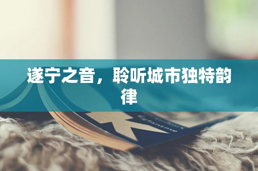 遂宁之音，聆听城市独特韵律