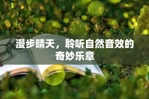 漫步晴天，聆听自然音效的奇妙乐章