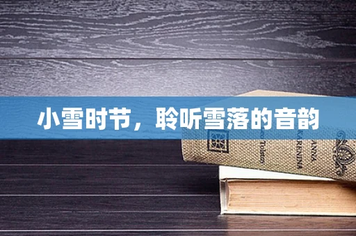 小雪时节，聆听雪落的音韵