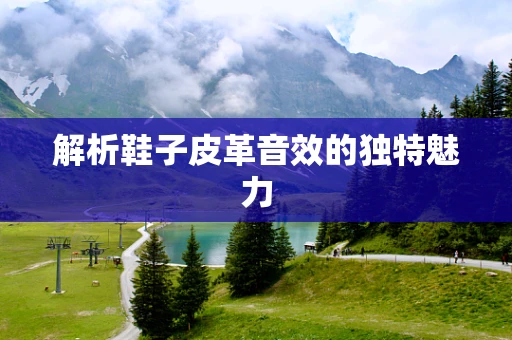 解析鞋子皮革音效的独特魅力