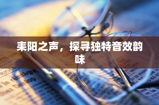 耒阳之声，探寻独特音效韵味