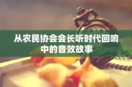 从农民协会会长听时代回响中的音效故事