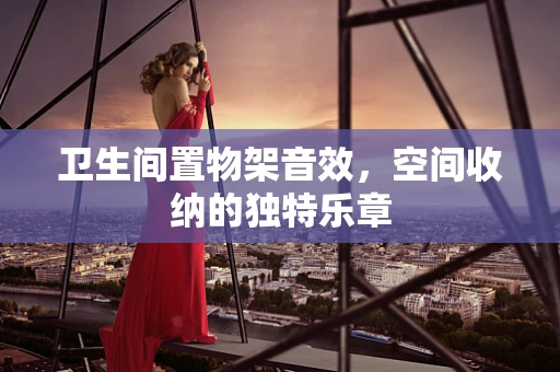卫生间置物架音效，空间收纳的独特乐章