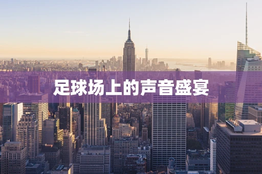 足球场上的声音盛宴