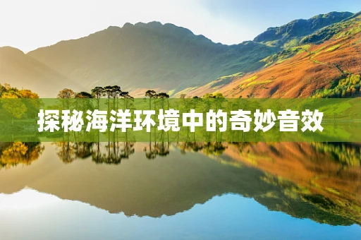 探秘海洋环境中的奇妙音效