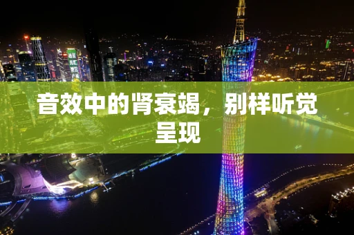 音效中的肾衰竭，别样听觉呈现