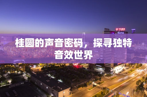 桂圆的声音密码，探寻独特音效世界