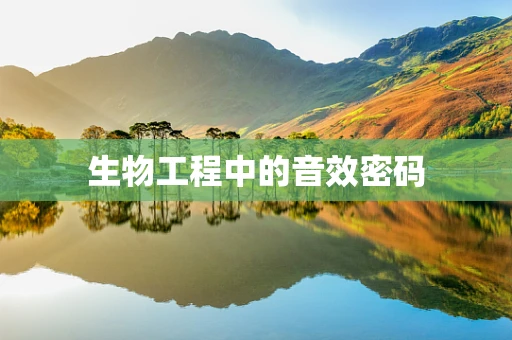 生物工程中的音效密码