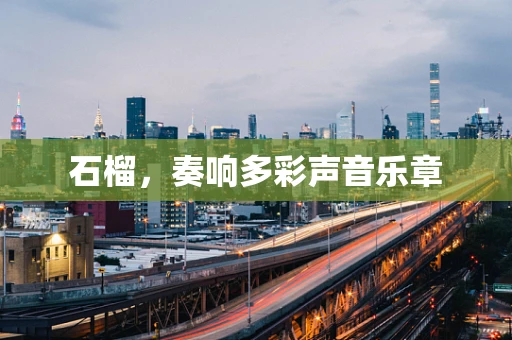 石榴，奏响多彩声音乐章