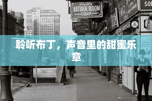 聆听布丁，声音里的甜蜜乐章