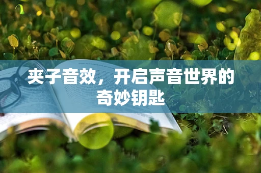 夹子音效，开启声音世界的奇妙钥匙