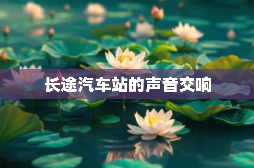 长途汽车站的声音交响