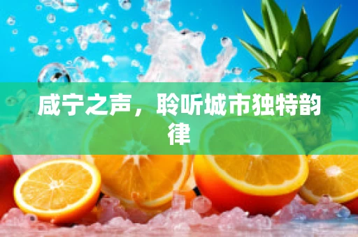 咸宁之声，聆听城市独特韵律