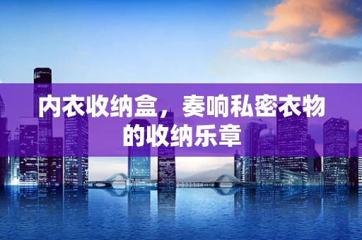 内衣收纳盒，奏响私密衣物的收纳乐章