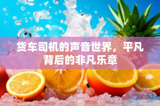 货车司机的声音世界，平凡背后的非凡乐章