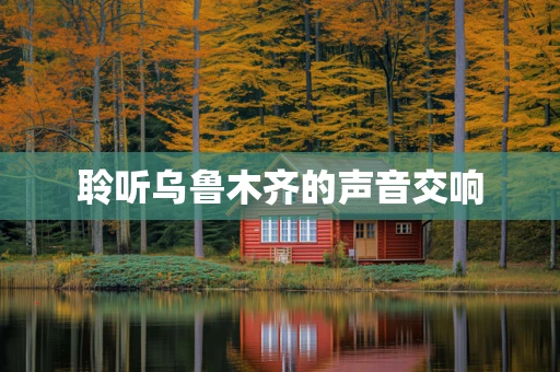 聆听乌鲁木齐的声音交响