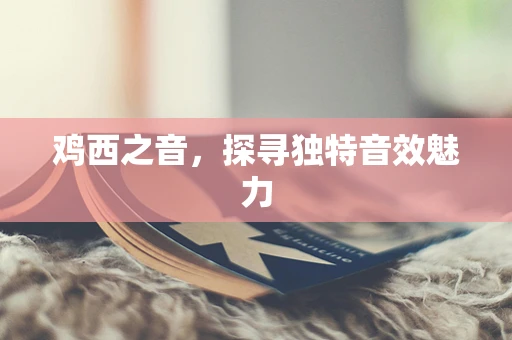 鸡西之音，探寻独特音效魅力
