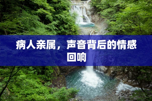 病人亲属，声音背后的情感回响