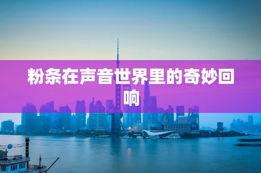 粉条在声音世界里的奇妙回响