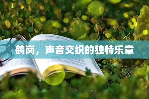 鹤岗，声音交织的独特乐章