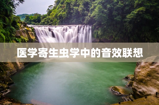 医学寄生虫学中的音效联想