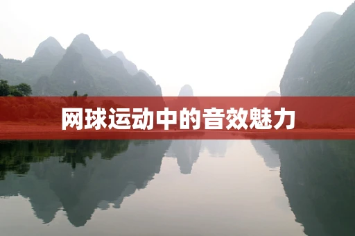 网球运动中的音效魅力
