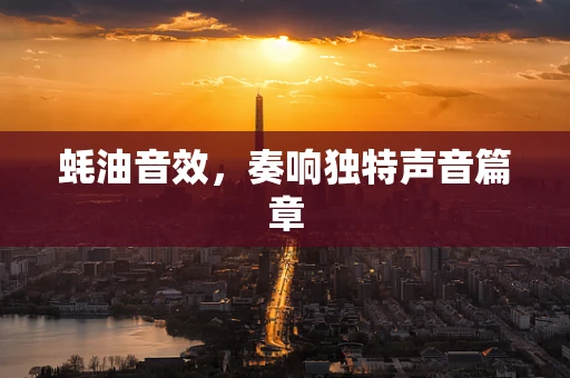 蚝油音效，奏响独特声音篇章