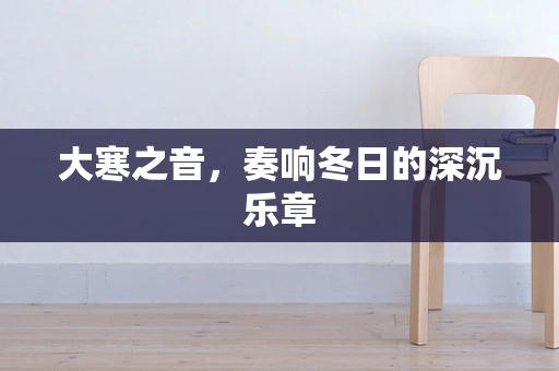 大寒之音，奏响冬日的深沉乐章