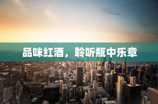 品味红酒，聆听瓶中乐章
