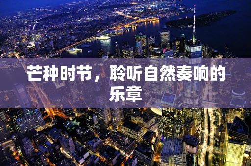 芒种时节，聆听自然奏响的乐章