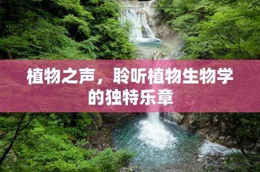 植物之声，聆听植物生物学的独特乐章