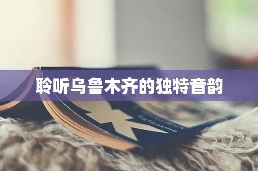 聆听乌鲁木齐的独特音韵