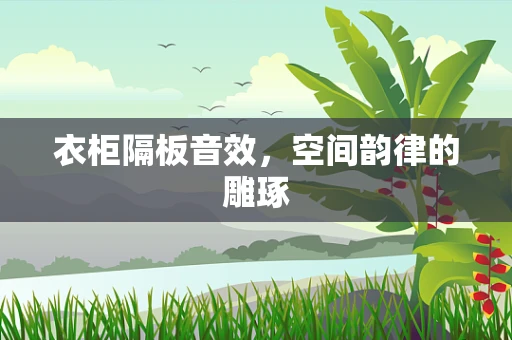 衣柜隔板音效，空间韵律的雕琢