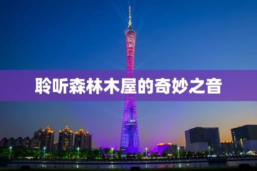 聆听森林木屋的奇妙之音