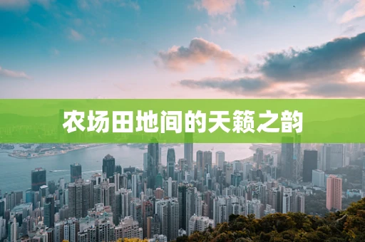 农场田地间的天籁之韵