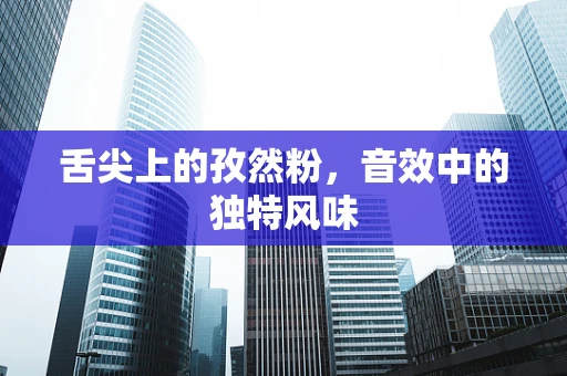 舌尖上的孜然粉，音效中的独特风味