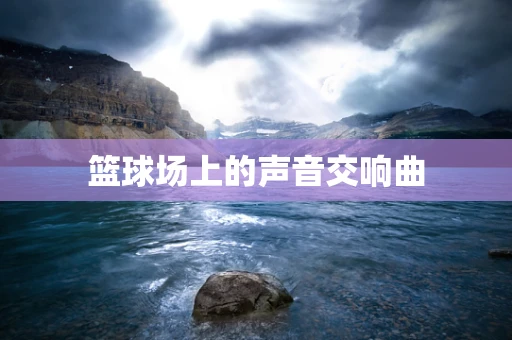 篮球场上的声音交响曲