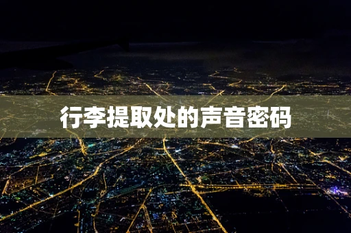 行李提取处的声音密码