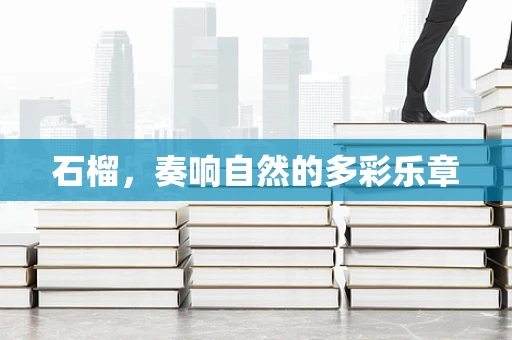 石榴，奏响自然的多彩乐章